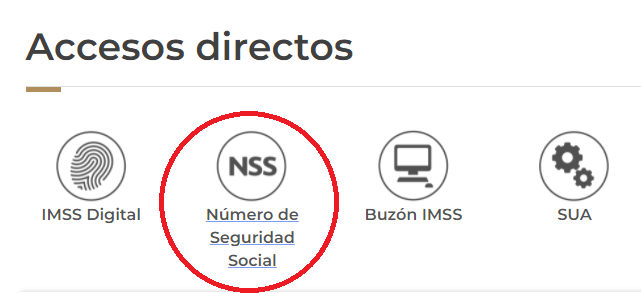 Formas De Consultar El Nss【actualizado En 2023 8082